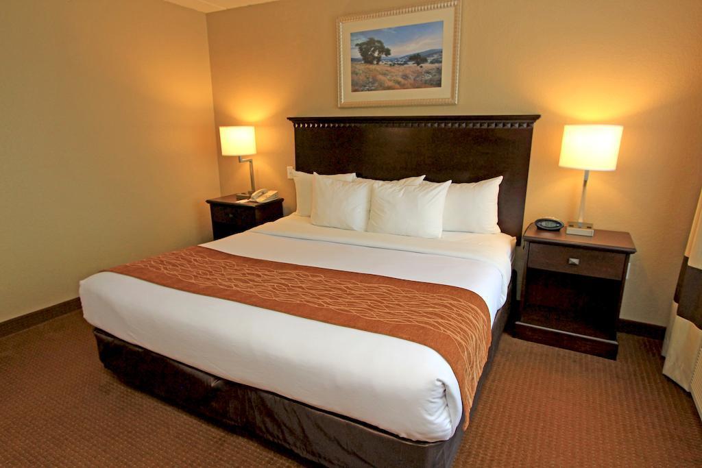 Comfort Suites Austin Airport Exteriér fotografie